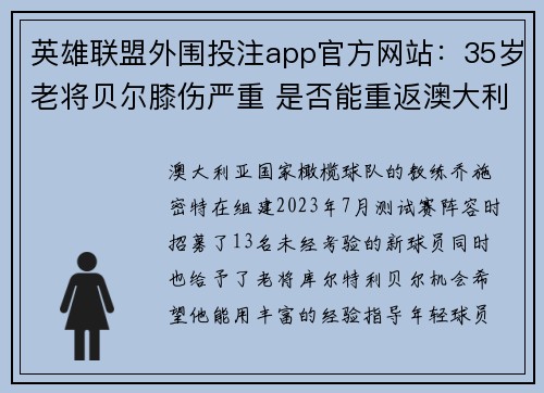 英雄联盟外围投注app官方网站：35岁老将贝尔膝伤严重 是否能重返澳大利亚国家队成谜